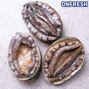 완도활전복 1kg 8-9미(미당111g내외) [산소팩, 무료배송]