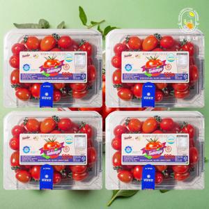스테비아 대추 방울토마토 토망고 500g x 4팩 (2kg)