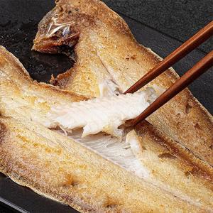 품질보장 반건조 황금빛 박대 大10미(29~31cm) 외 대/특대