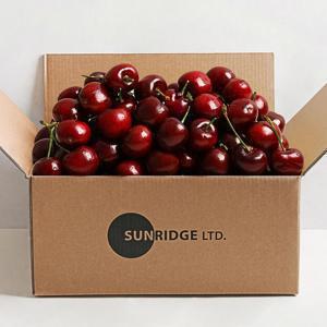 항공직송 첫출하 워싱턴 체리 26mm 1+1 700g (350g 2팩)