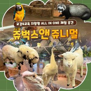 [인천] 실내 동물원 쥬벅스 앤 쥬니멀
