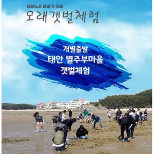 [태안] 별주부마을 갯벌체험