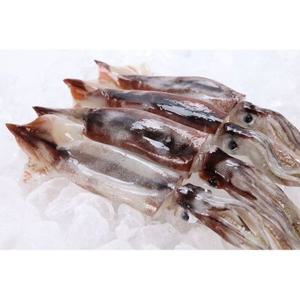 단독특가 원양산 총알 오징어 1kg (9-13미내외)
