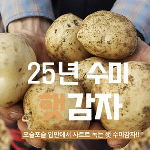 [25년 수미감자] 포슬포슬 강원도 수미감자 대,특,왕특(1kg/2kg/3kg/5kg)