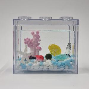 마리모 키우기 세트 diy 어항 꾸미기