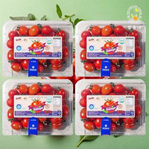 스테비아 대추 방울토마토 토망고 500g x 4팩 (2kg)