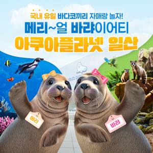 [일산] 아쿠아플라넷 일산 입장권(25/05/01-25/05/31)