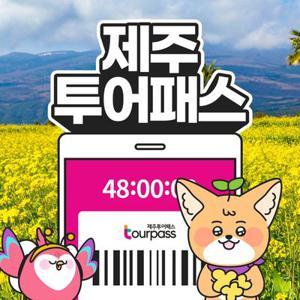 [제주] 제주투어패스 / 48시간 프리패스 여행 체험 관광지 실내 액티비티 카트 승마 공연