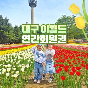 [대구] 이월드 연간회원권 5월