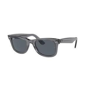 24FW 레이밴 선글라스 RB2140 6773R5 Gray