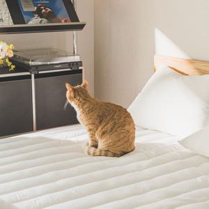 건조기 가능 워싱해서 더 부드러운 완벽 알러지케어 두툼한 누빔패드(뒷면밴딩) SS/Q/K