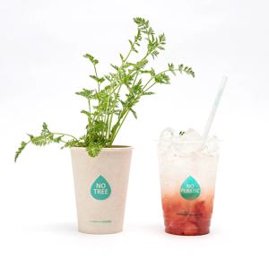 옥수수전분 PLA 친환경 일회용 아이스컵 12온스 361mL 100개