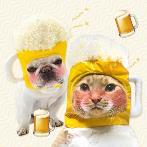 펫 코스튬 생맥주 모자 강아지 고양이 웃긴 촬영소품 가발 할로윈