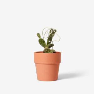 트렐리스 식물지지대 화분지지대 넝쿨 화초지지대