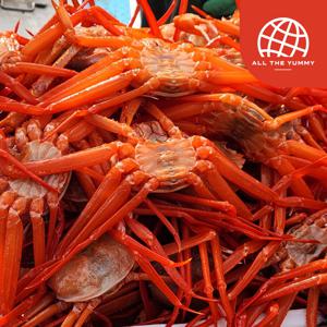 산지직송 동해안 홍게 중사이즈 5kg(16~18미내외) A급(수율90%내외)