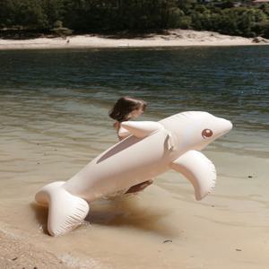 돌고래 튜브