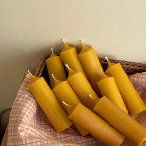 천연 밀랍초 , 통통 기둥초