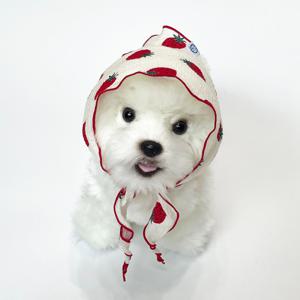 스트로베리 요루 스카프