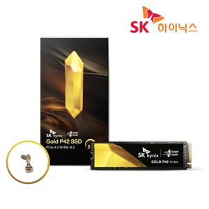 Gold P42 NVMe SSD (PCIe 4.0 / M2고정나사 증정)