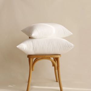 [기간한정15%쿠폰]지퍼형 구름 베개솜 40x60 50x70  1+1