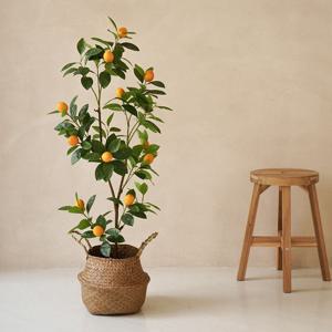 레몬나무 조화 인조나무 110cm