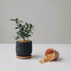 산초 세라믹 화산석화분 집들이 개업화분 미니골드바