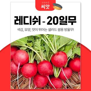 건강채소 20일무 레디쉬 씨앗 12g 적환무