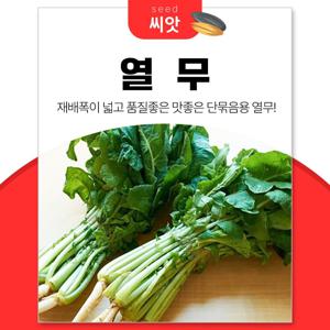 부드럽고 맛좋은 새바람 열무 씨앗 20g