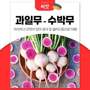아삭하고 달달한 수박무 과일무 씨앗 100립 단홍무