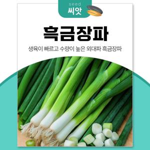 생육이 빠르고 상품성 좋은 대파 흑금장파 씨앗 10g