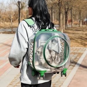 마이펫 투명 백팩 캐리어 이동가방04
