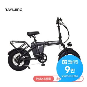 [렌탈] 디스커버리 MX 접이식 전동 팻바이크 48V A10 DX10