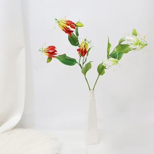 글로리오사 가지 84cm 4color