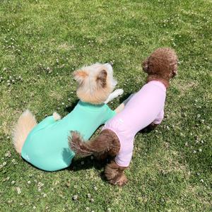 파스텔 강아지쿨링올인원 여름 자외선차단 강아지옷 7color