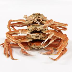 북해도 자숙 대게 1kg(4-7미)