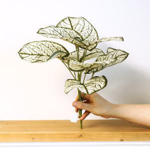 인테리어 나뭇잎 조화 부쉬 인조 식물 장식 30cm 칼라디움 스노우