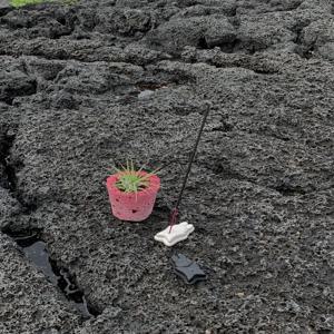 랑데뷰 제스모나이트 레빗 토끼 인센스 스틱 홀더 향꽂이 향피우기