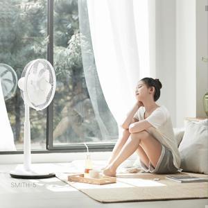 [결제가 75800원+1.5만 추리증정] 저소음 BLDC 리모컨 선풍기 SMITH-5