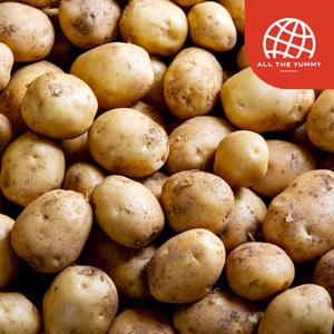 국내산 25년 햇수확 노지 감자 특대 1kg