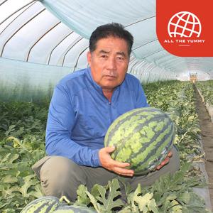 논산수박연구회 산지직송 정품 수박(11Brix 이상)4-5kg