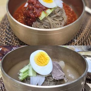 고향식품 메밀냉면 10인분 물냉면 비빔냉면 동치미 육수