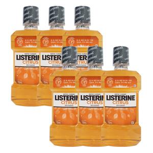 시트러스 750ml x6
