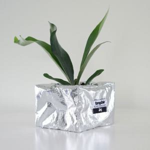 [신상25%쿠폰]박쥐란 (Platycerium bifurcatum)렉탱글 화분커버 팟커버