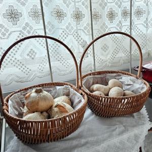 PP 야채 보관 바구니 바스켓 수납바구니 정리바구니 빨대 바구니