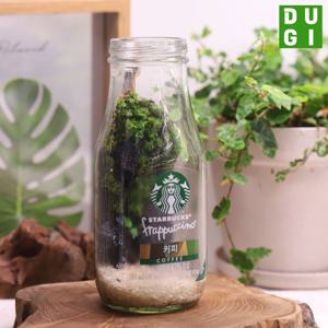 유리병 리사이클 병없이 재료만 보내드리는 테라리움 DIY 키트 비단이끼 키우기 비바리움