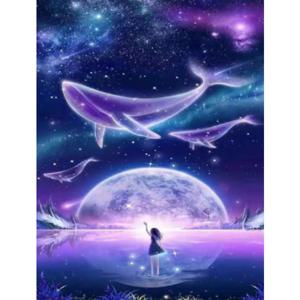 보석십자수 LED 캔버스 보석십자수 고래와 우주(H.02) 40X50