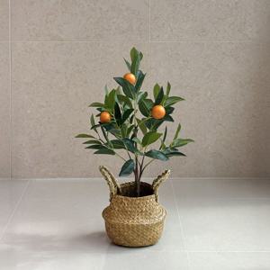 조화 귤 유주나무 낑깡 인조 식물 원예 인테리어 장식 플렌테리어 소품 3 sizes