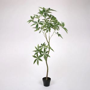 파키라 조화나무 150cm
