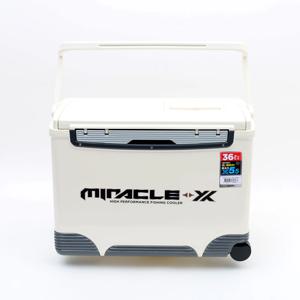 아이스박스 36L 낚시 레저 캠핑 쿨러 SIC-036HE