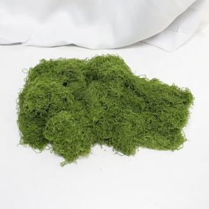 푸들 내추럴 인조 이끼 실뭉치 1봉지(실타입) 조경 디자인 플라워데코 테라리움 꽃수업
